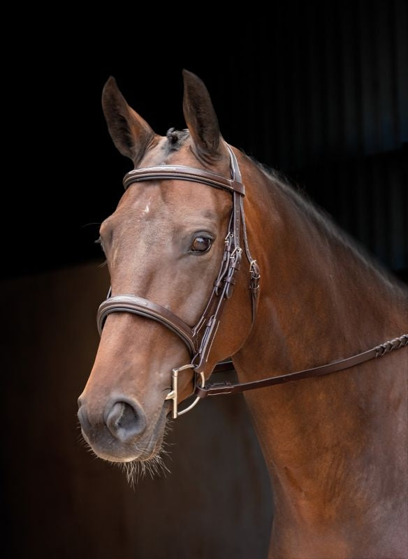 Velociti Padded Raised Flash Bridle