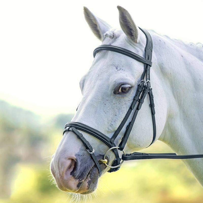 Velociti Padded Raised Flash Bridle