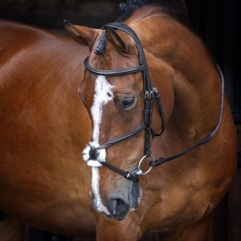 Velociti Figure 8 Bridle