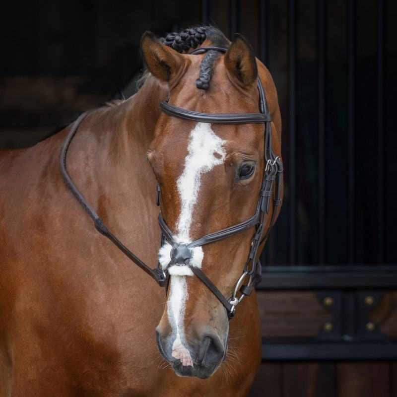 Velociti Figure 8 Bridle