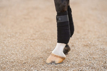 Equifit Essential Polo Wraps