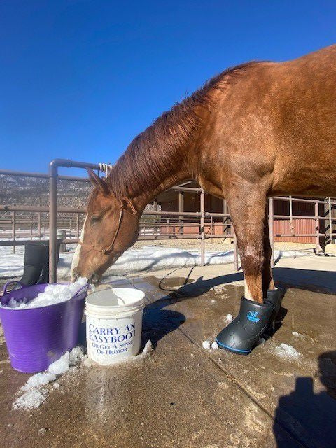 EasyCare Easyboot Remedy Soaking/Therapy Boot