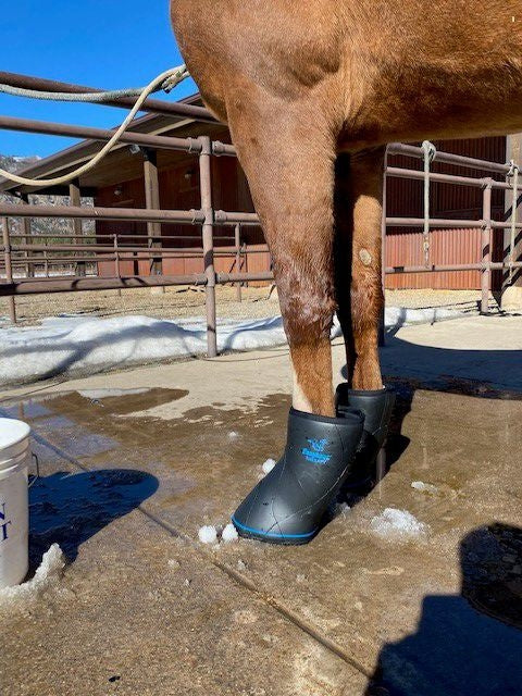 EasyCare Easyboot Remedy Soaking/Therapy Boot