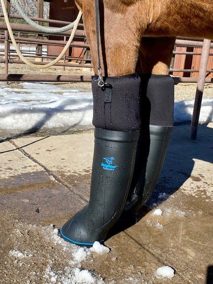 EasyCare Easyboot Ultimate Remedy Therapy Boot