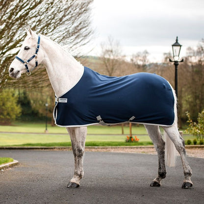 Amigo Jersey Pony