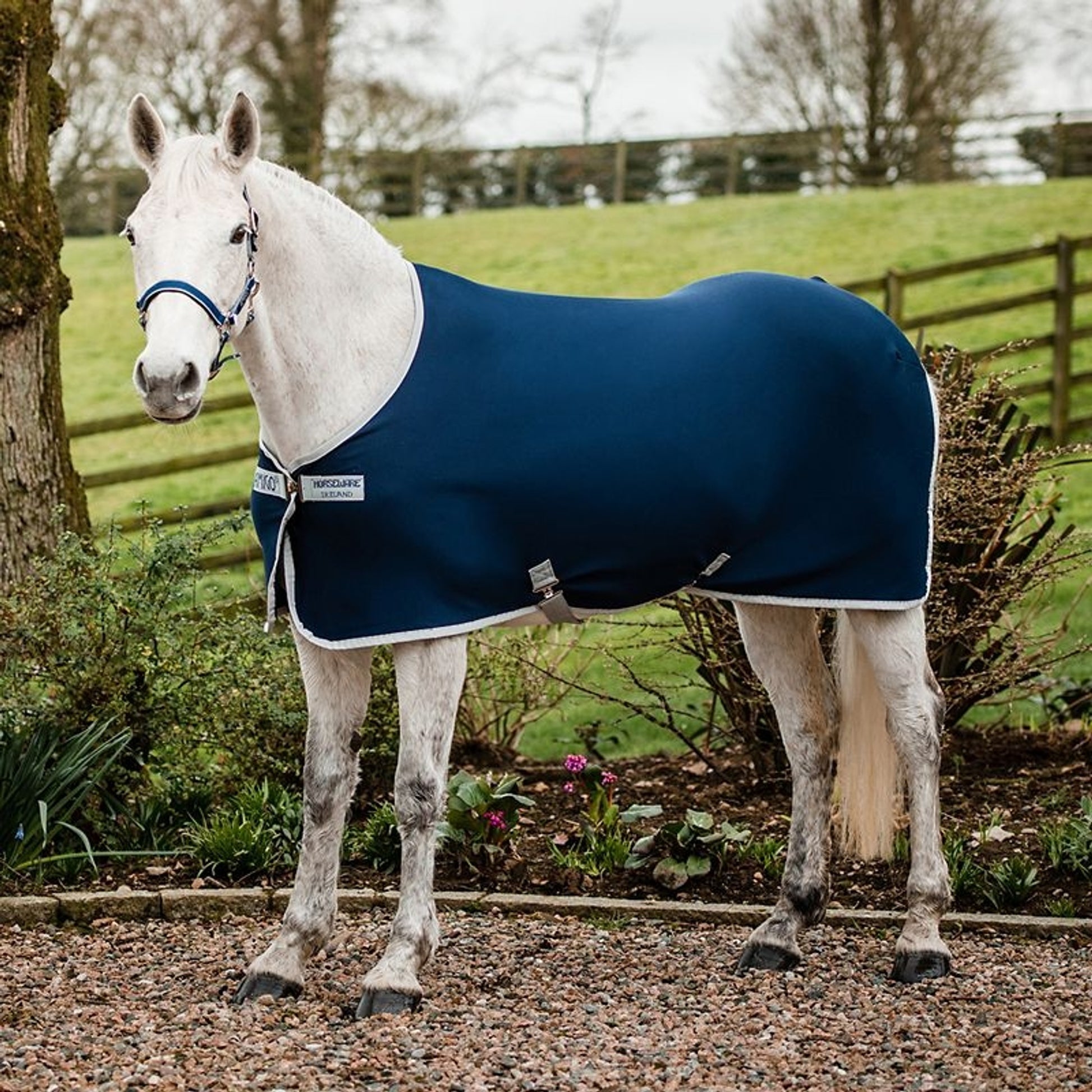 Amigo Jersey Pony