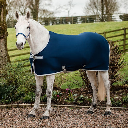 Amigo Jersey Pony