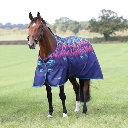 Shires Tempest Original Lite TO