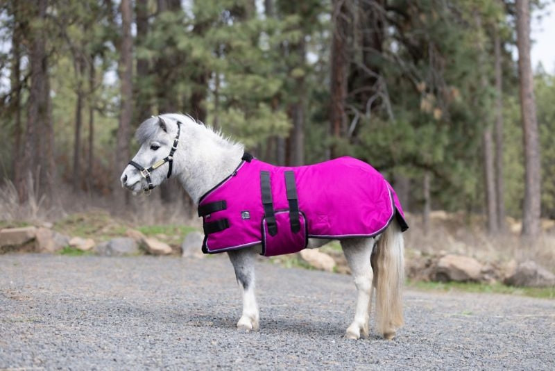 Ozark Mini 1200D Turnout 240g Blanket