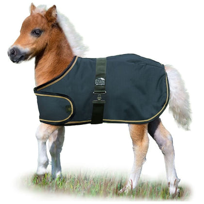 Ozark Mini Adjustable Foal Blanket