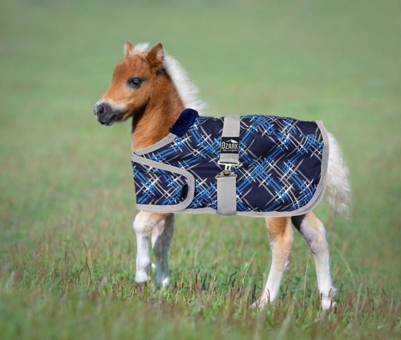 Ozark Mini Adjustable Foal Blanket