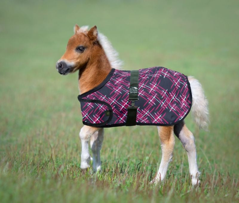 Ozark Mini Adjustable Foal Blanket