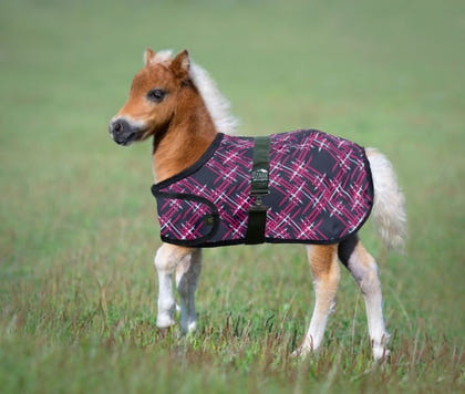 Ozark Mini Adjustable Foal Blanket