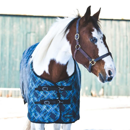 Kensington Pony 1200D Turnout 80g