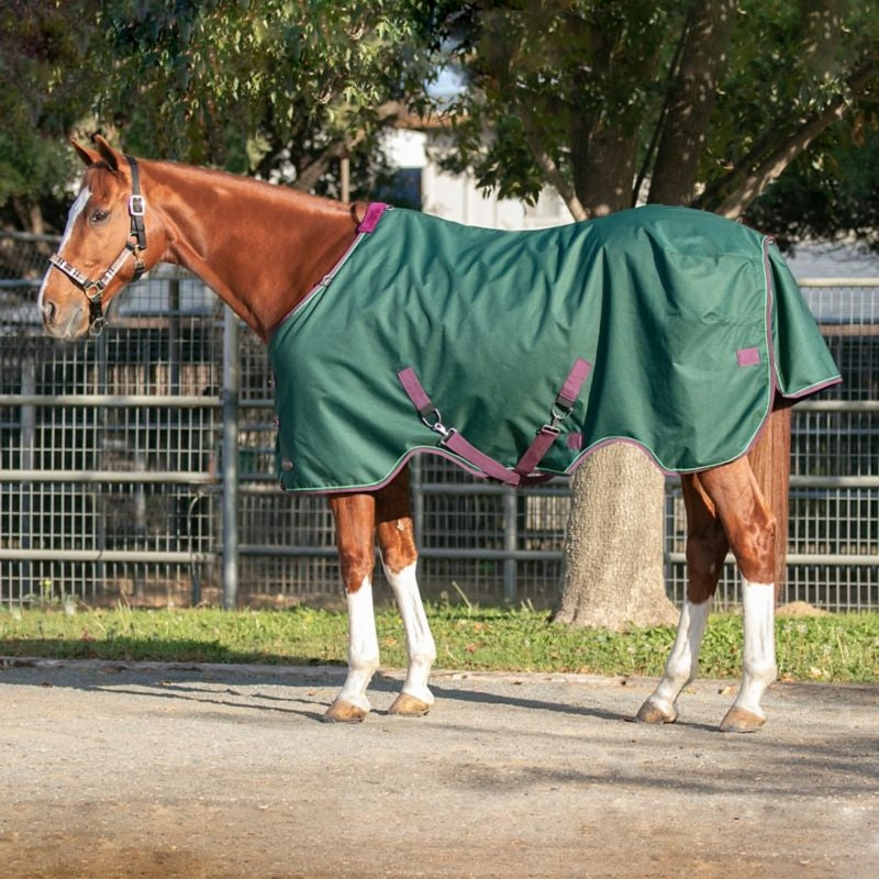 Kensington Signature Rain Sheet