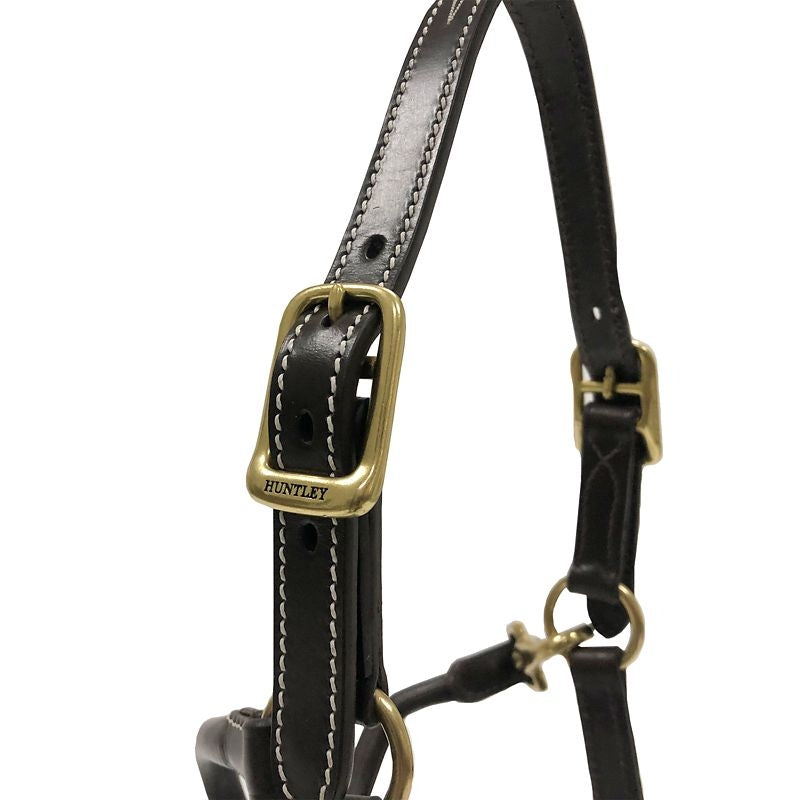 Huntley Fancy StitchAdj Leather Halter Pony Havana