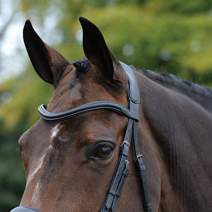 Collegiate Comfitec Vogue Bridle