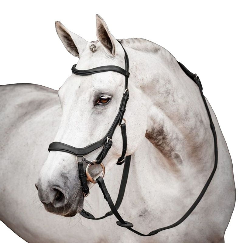 HW Micklem 2 Competition Bridle