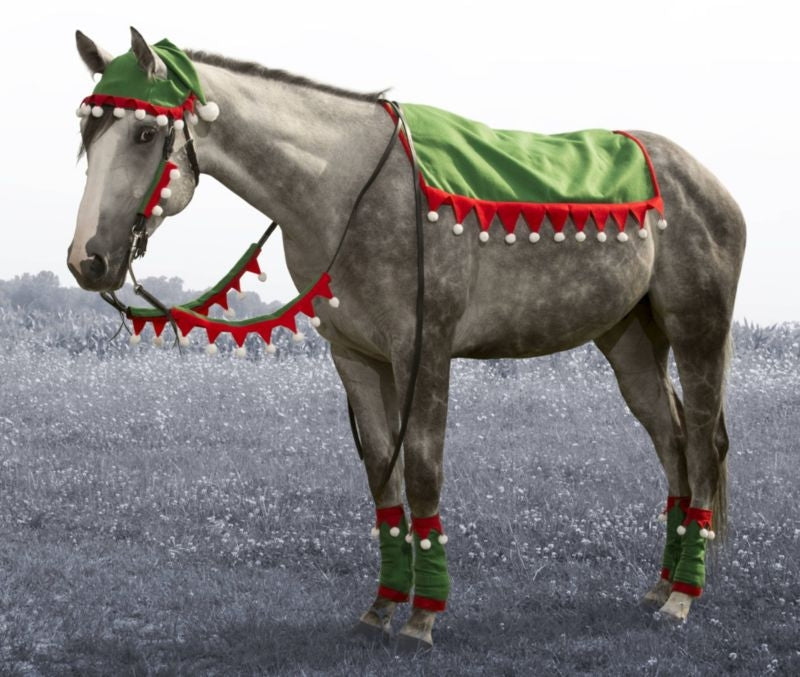Tough1 5 Piece Western Holiday Set Elf