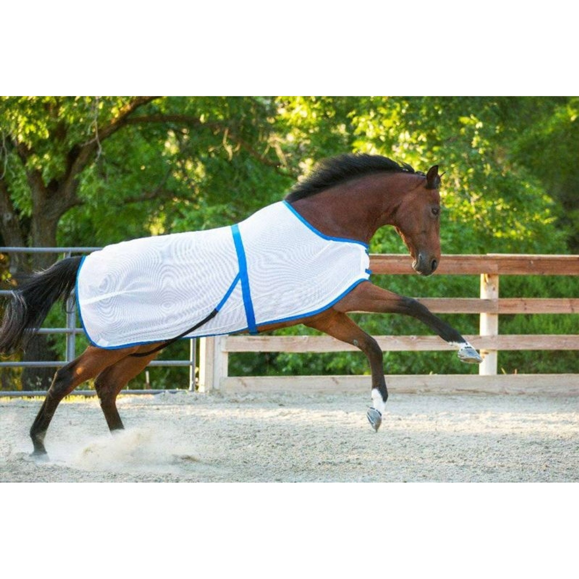 Saratoga Horseworks Summer Turnout 68 White/Black