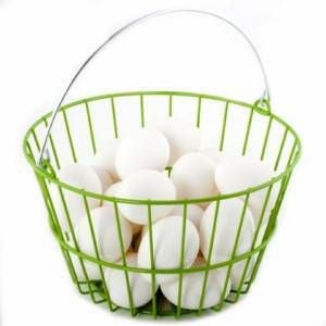 Ware Coated Wire Egg Basket Green 8.5