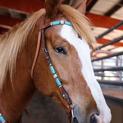 Circle Y Turq Roundup Browband Headstall Reg Oil