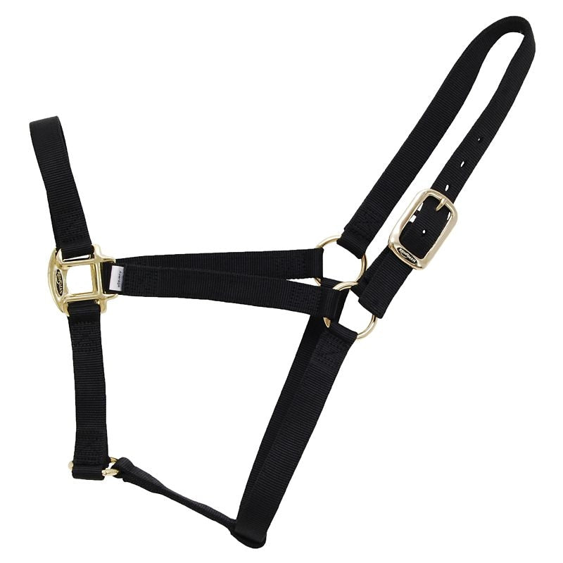 Reinsman Classic Nylon Halter