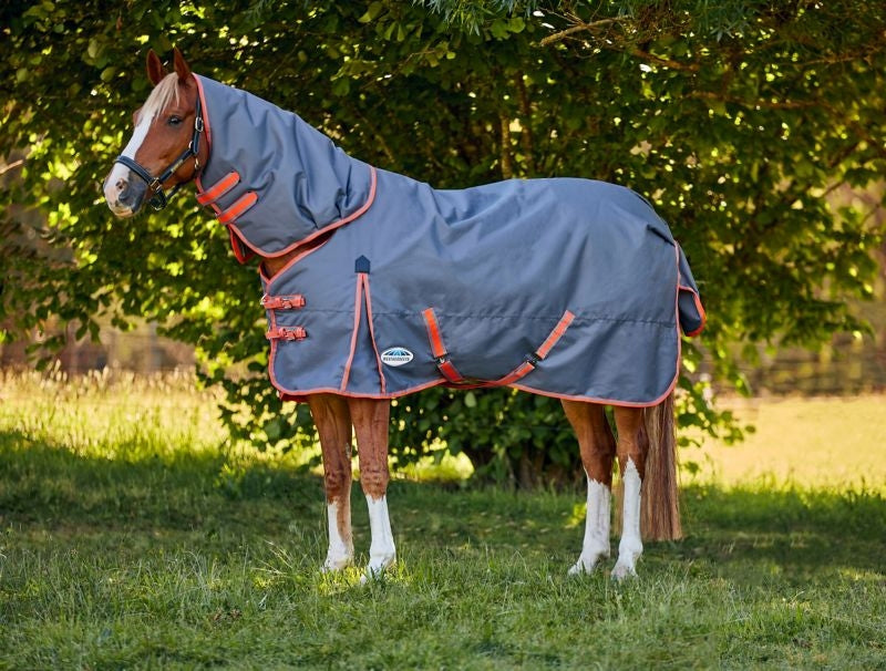 Weatherbeeta ComFiTec Essential Plus Detach-A-Neck Medium