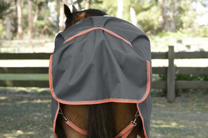 Weatherbeeta ComFiTec Essential Plus Detach-A-Neck Medium