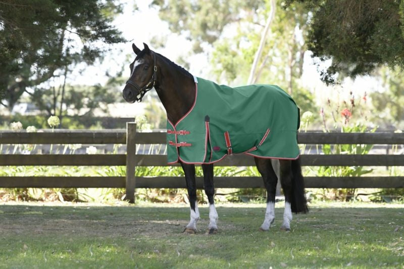 Weatherbeeta ComFiTec Prelim Standard Neck Medium