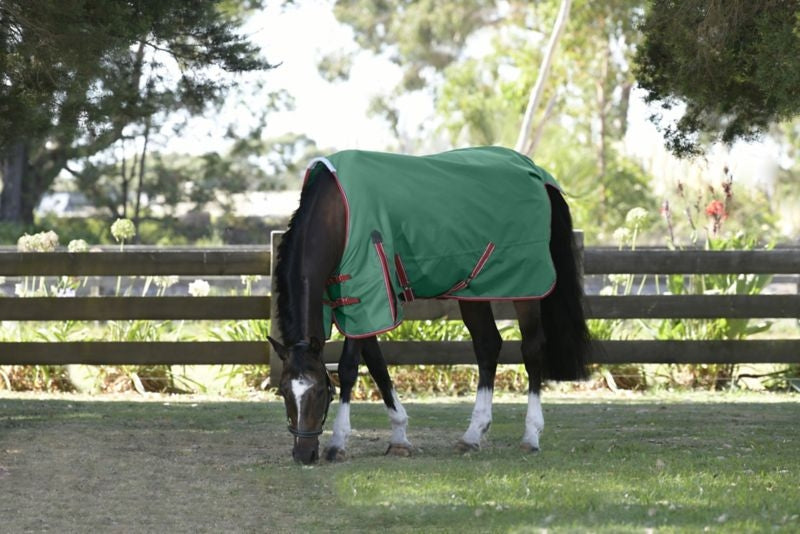 Weatherbeeta ComFiTec Prelim Standard Neck Medium