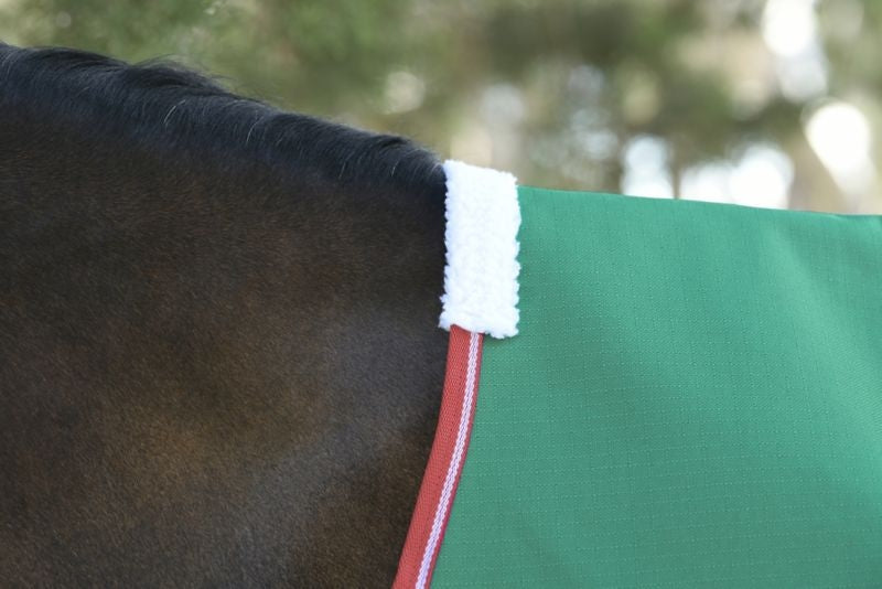 Weatherbeeta ComFiTec Prelim Standard Neck Medium