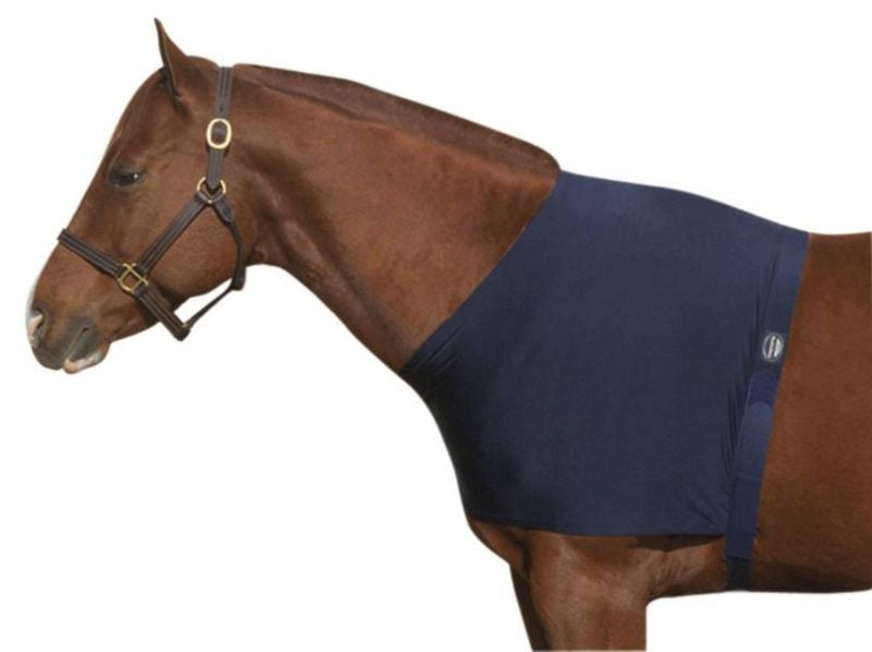 WeatherBeeta Shoulder Guard