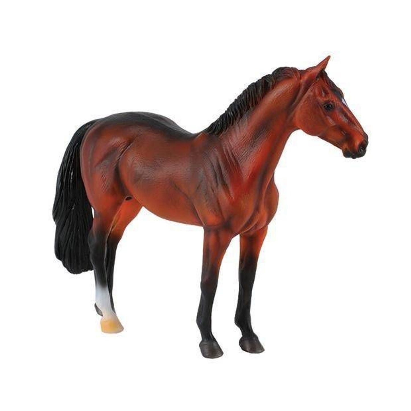 TE038672_P.jpg