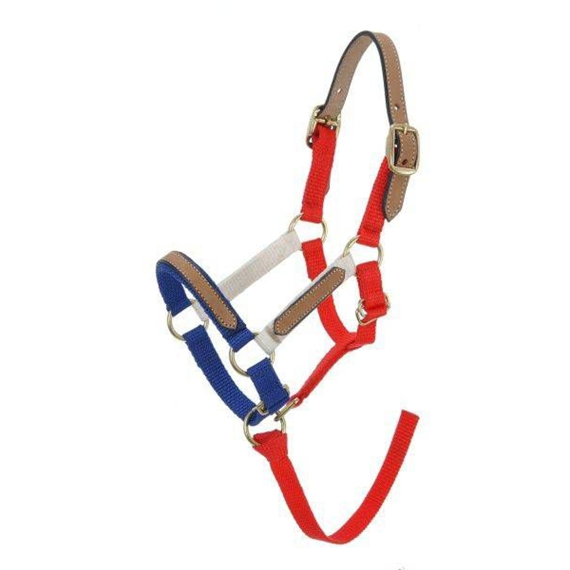 Single Ply Mini Leather Crown Strap Replace Mini B