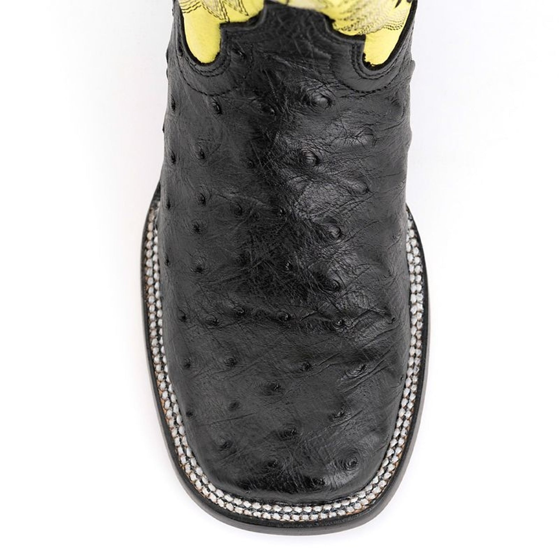 Ferrini Ladies Colt Ostrich SqToe Boot