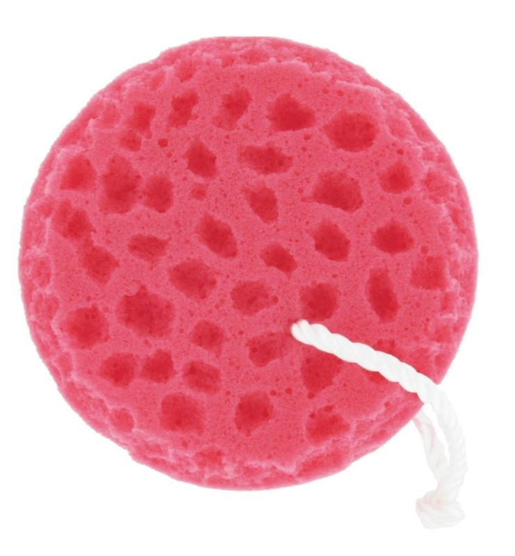 Tail Tamer Sponge On A Rope