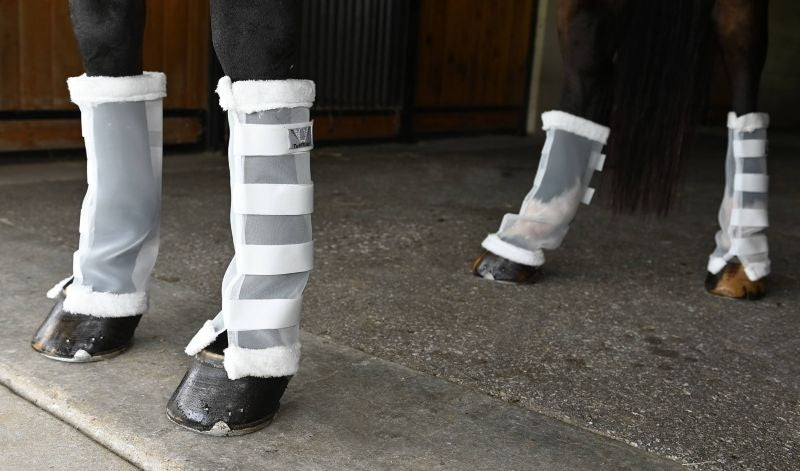 Tuffrider Mesh Fly Boots
