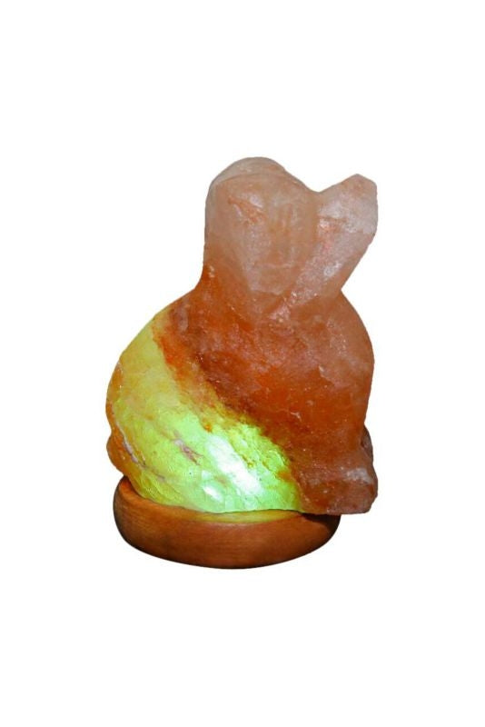 Himalayan Rock Salt Mini Dog Lamp