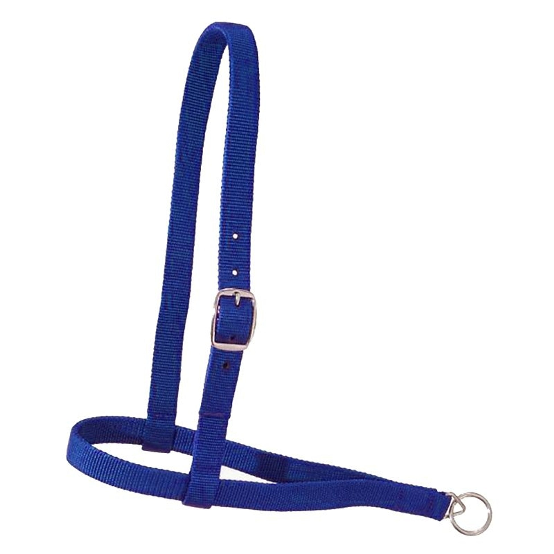 Royal King Nylon Web Noseband