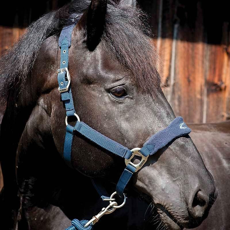 Lc Fleece Polypropylene Halter