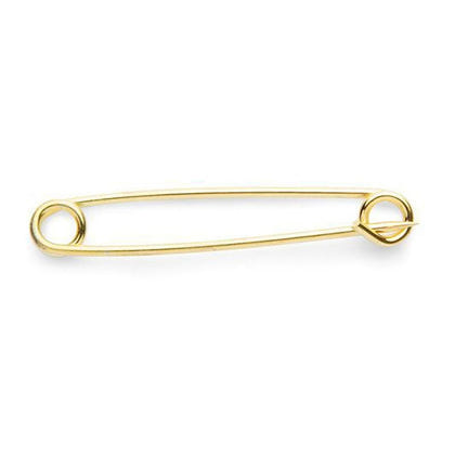 Shires Plain Gold Plated Stock Pin