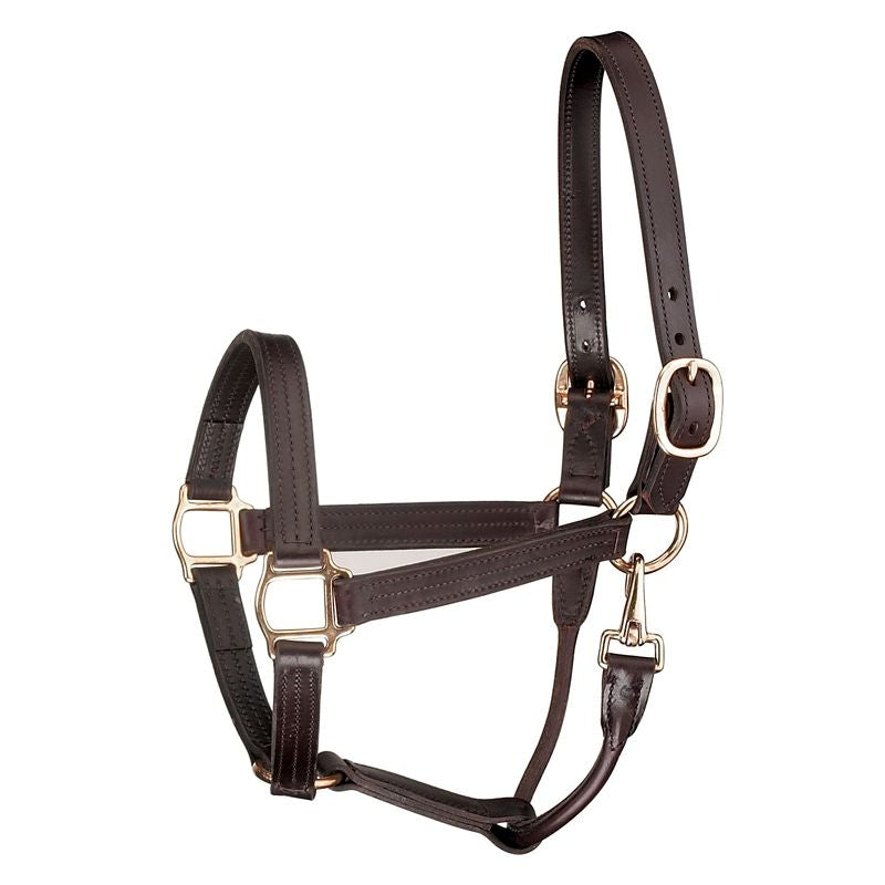 Perris Track Leather Show Halter Snap