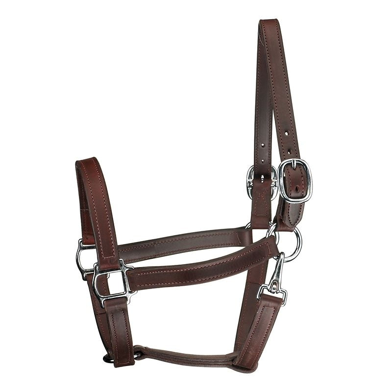 Perris 1In Track T/O Halter with Snap