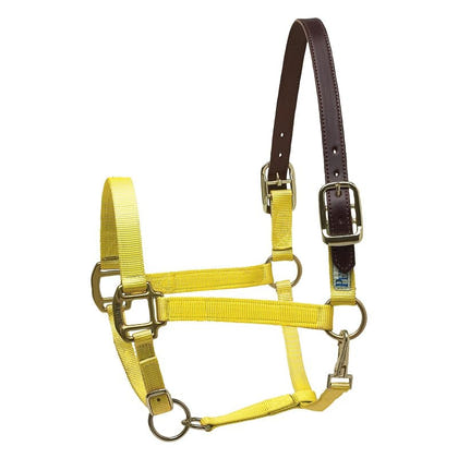 Perris Nylon Safety Halter