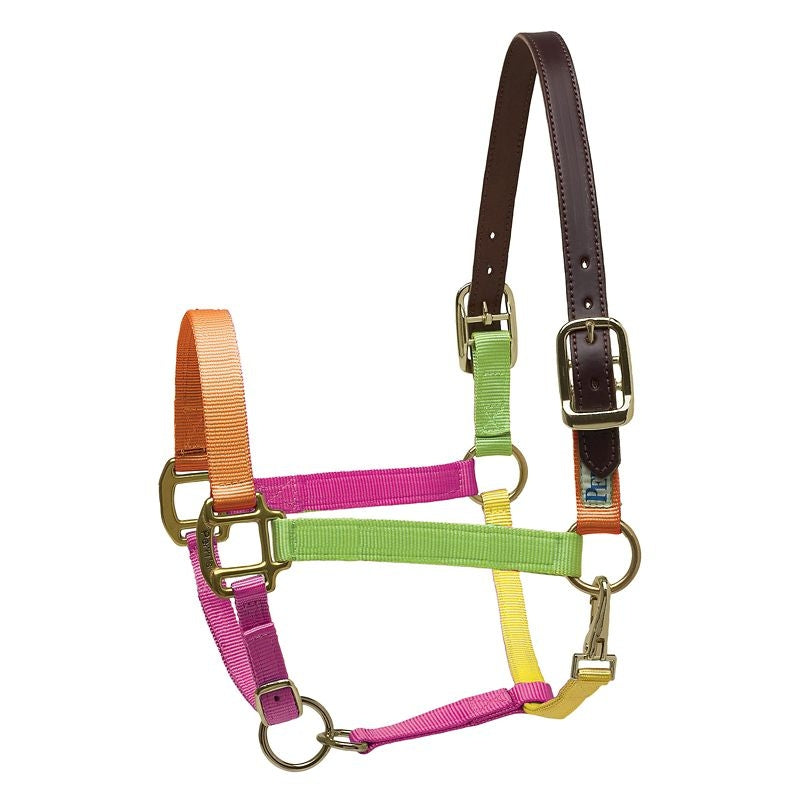 Perris Nylon Safety Halter