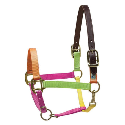 Perris Nylon Safety Halter