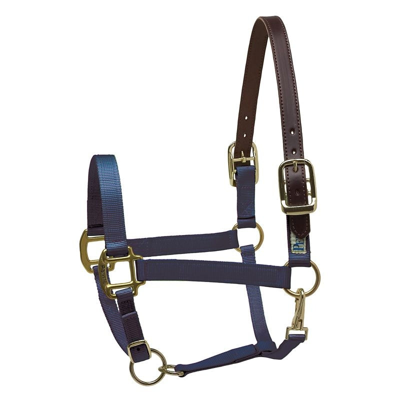 Perris Nylon Safety Halter