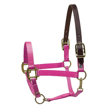 Perris Nylon Safety Halter