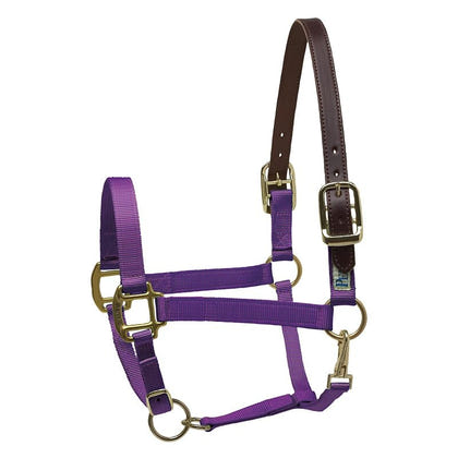 Perris Nylon Safety Halter